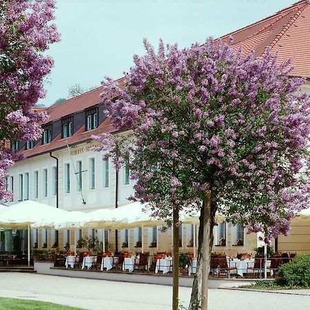Schloss Hotel Dresden Pillnitz Exterior foto