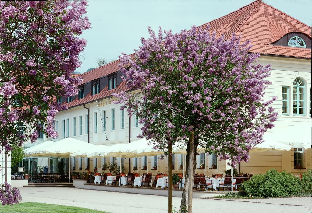 Schloss Hotel Dresden Pillnitz Exterior foto